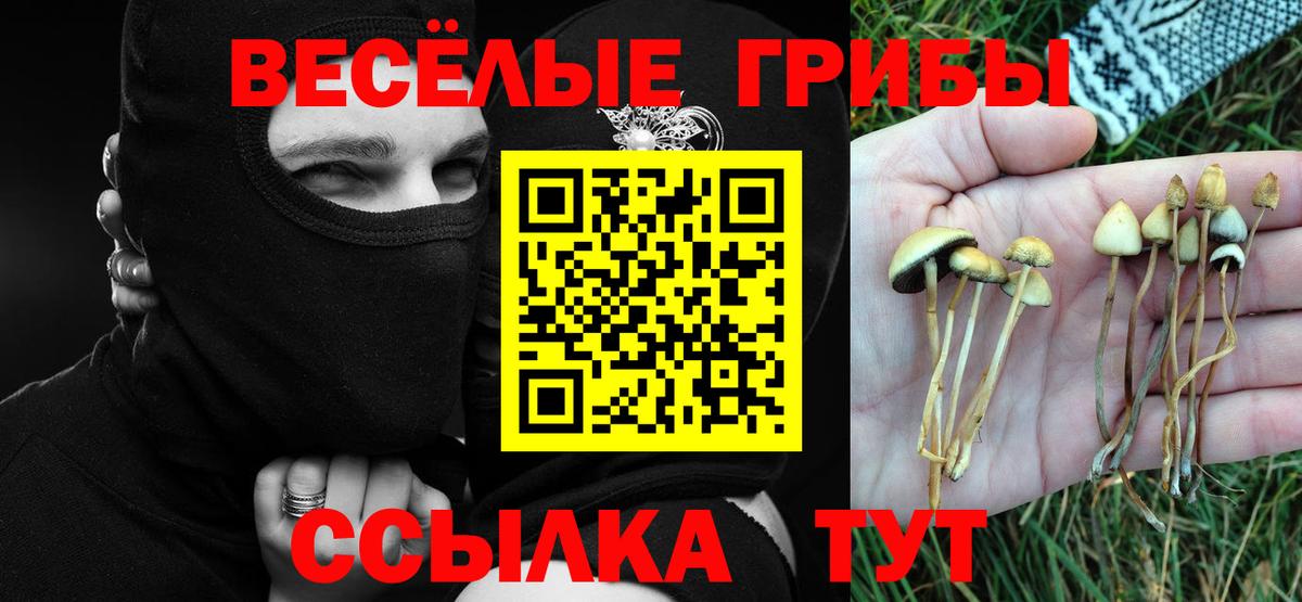 Галлюциногенные грибы мицелий  Вход с VPN  Шали 